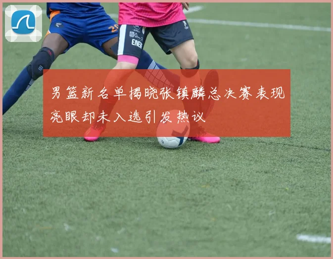 男篮新名单揭晓张镇麟总决赛表现亮眼却未入选引发热议