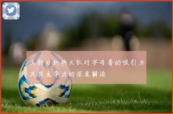文胖分析热火队对字母哥的吸引力及其竞争力的深度解读