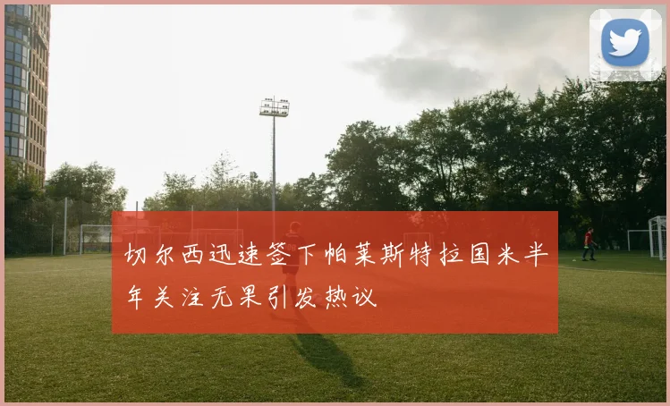 切尔西迅速签下帕莱斯特拉国米半年关注无果引发热议