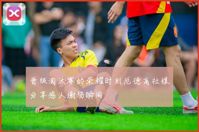 晋级淘汰赛的荣耀时刻厄德高社媒分享感人谢场瞬间