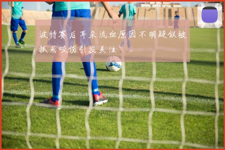波特赛后耳朵流血原因不明疑似被抓或咬伤引发关注
